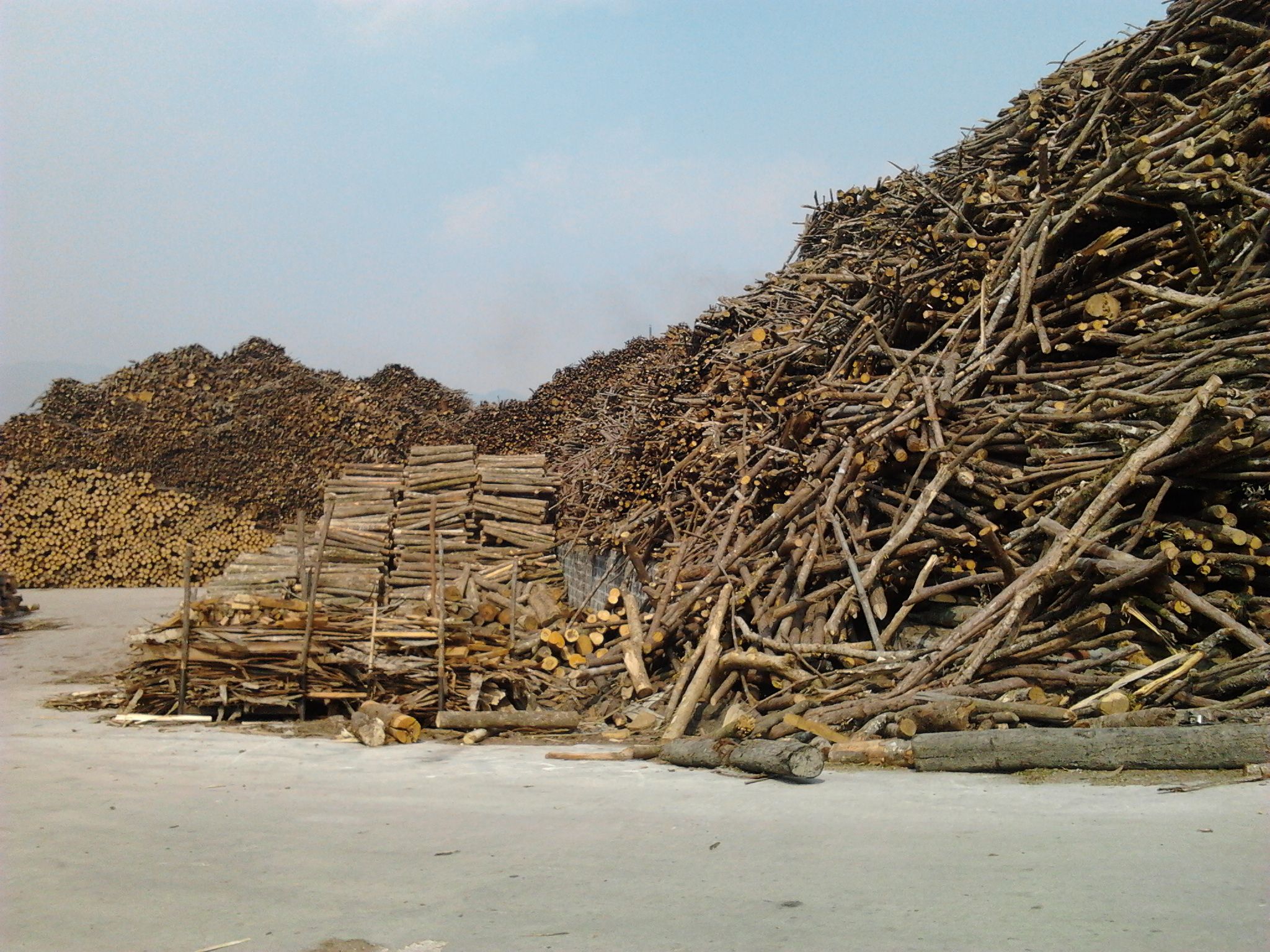 Supply of Biomass to Western Bio Energy