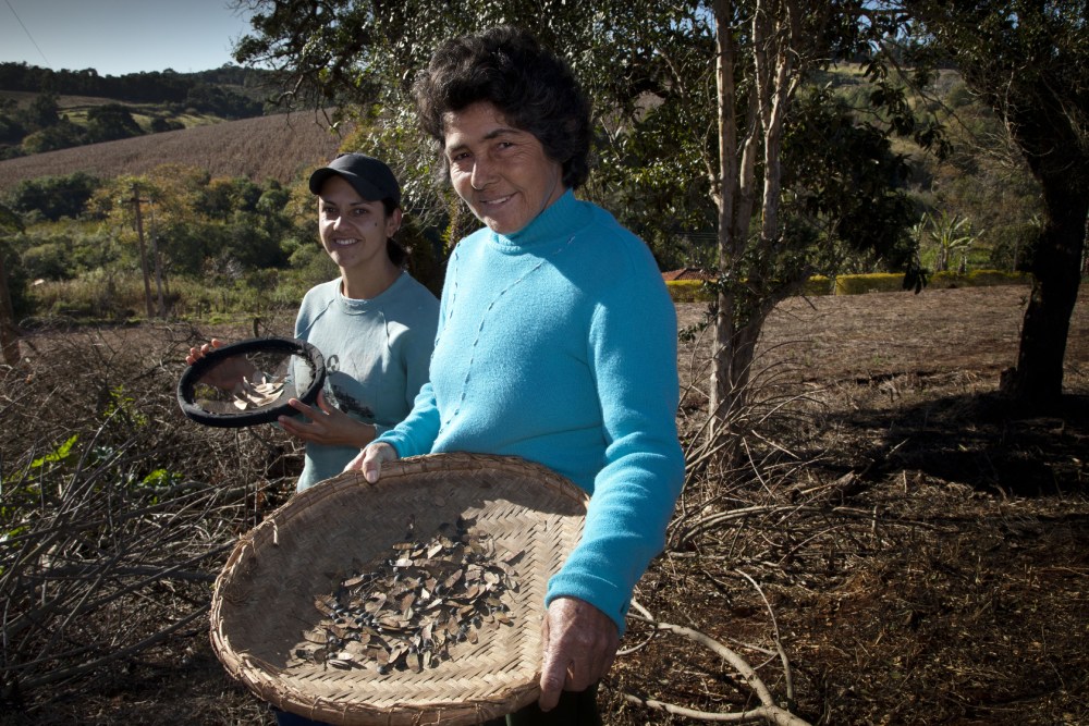 Community nurseries take root