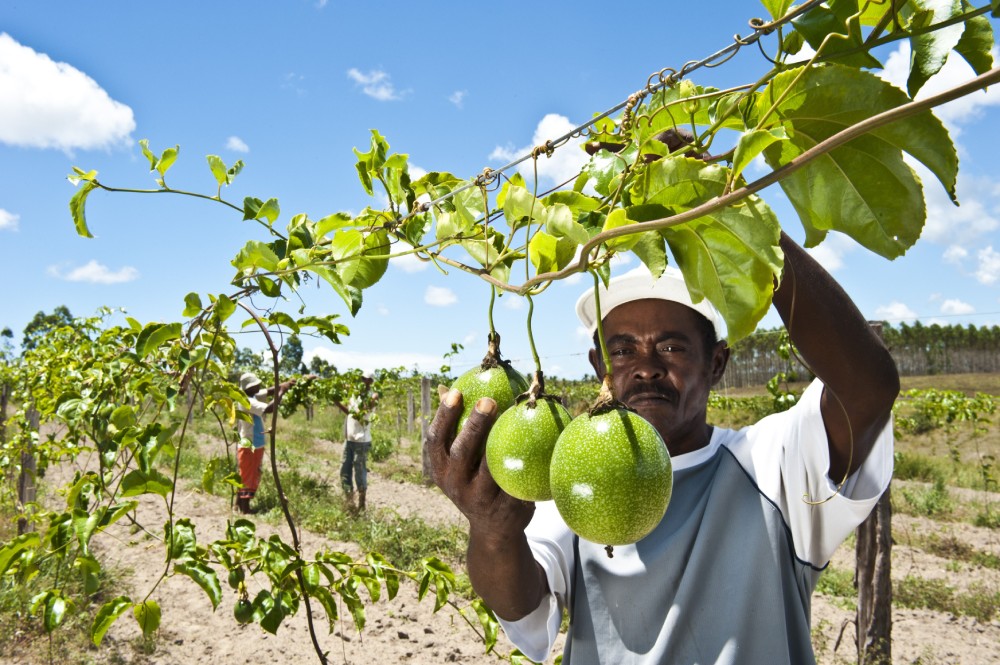 From conflict to cooperation