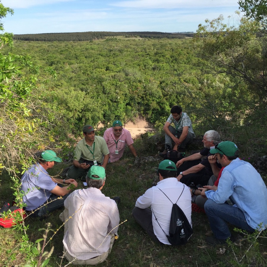Sustainable Intensification