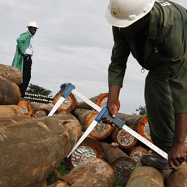 Plantations for Africa's Prosperity