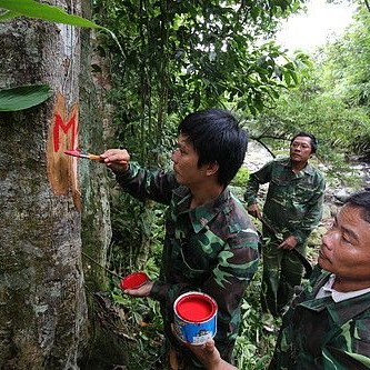 New Approaches to Smallholders