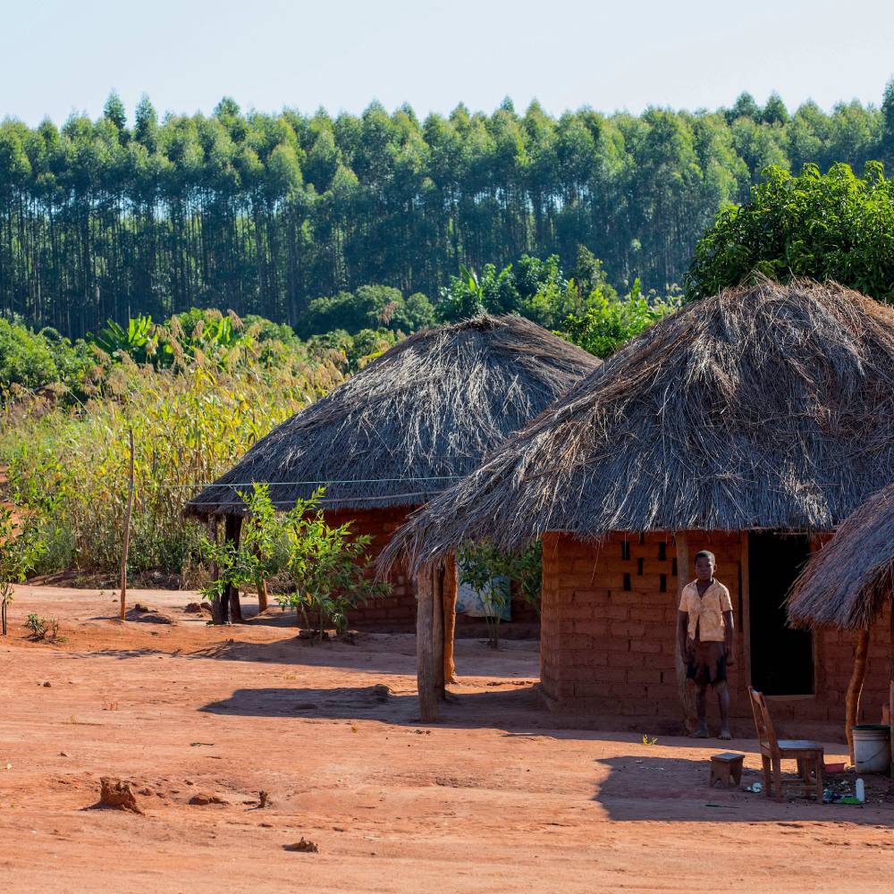 Africa's social prosperity and landscape's resilience