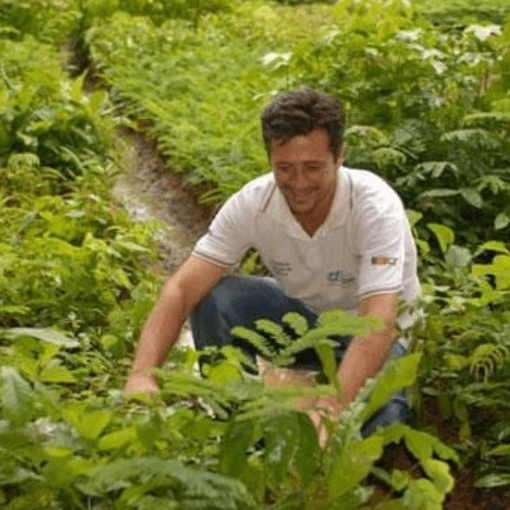 Co-creating Land-Use projects in Southern Bahia