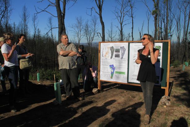 Chile, Maule multistakeolder meeting 