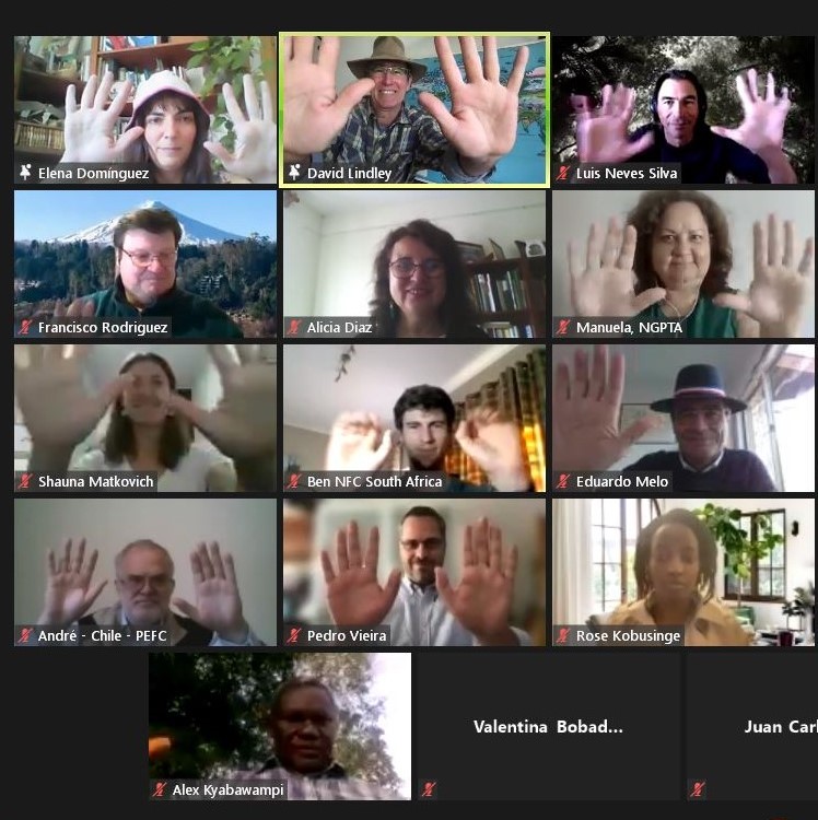 NGP Ecosystem of Collaboration  e-meeting