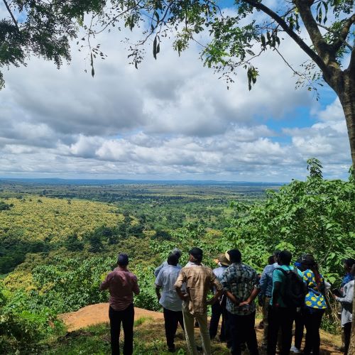 Commercial Forestry Exposure and  Learning Visit to Ghana
